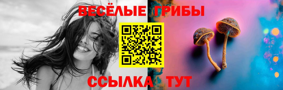 Гусев  Псилоцибиновые грибы мицелий  Вход с VPN 